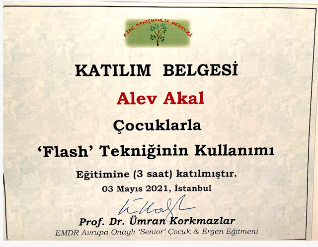 Sertifika 1